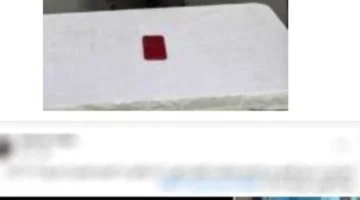 تفاصيل حادثة سرقة هاتف بمسجد العامرية في الإسكندرية وتحرير المصلي